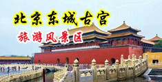冲进黑丝美女的小穴中国北京-东城古宫旅游风景区